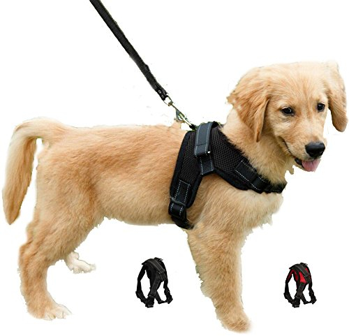 Dog Harness Adjustable No Pull Puppy Vest Harness Mesh Breathable Soft Padded Pet Chest Strap for Small Dogs (XS, Black)
