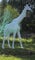 Casa Padrino Designer Deko Skulptur Giraffe Weiß H. 320 cm - Riesige Dekofigur - Lebensgroße Tierfigur - Wetterbeständige Gartendeko Figur XXL Skulptur