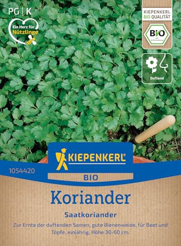 Kiepenkerl BIO Koriandersamen Saatkoriander 1054420, Kräutersaat | Saatgut mit duftenden Samen