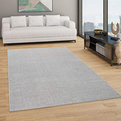Paco Home Alfombra Salón Color Liso Discreta Moderna Pelo Corto Tamaños, tamaño:200x280 cm, Color:Plata