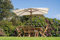Cream Rectangular 3m x 2m Wooden Garden Parasol