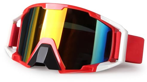 4-FQ Motorradbrille, Motocross Brille, Hochwertige Off Road Racing Crossbrille, Anti Fog UV Schutzbrille Sportbrille Retro Radbrille für ATV Dirt Bike(Roter Rahmen + farbige Gläser)