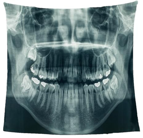 GXBDYD Warme Kuscheldecke Flanell Decke Microfaser Fleecedecke 130X150cm 3D Abstraktes Totenkopf-Design Drucken Sofadecke Weiche Flauschige Wolldecken Tagesdecke Wohndecke Für Erwachsene & Kinder