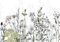 decomonkey Fototapete Blumen 350x256 cm XL Tapete Fototapeten Vlies Tapeten Vliestapete Wandtapete moderne Wandbild Wand Schlafzimmer Wohnzimmer Pflanzen Natur