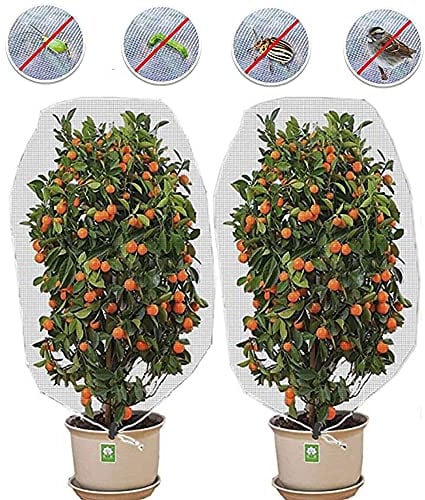 ZESLIV 2Pack Pflanzen Insektenschutz, Blumen, Früchte und Bäume Anti-UV- und Insektennetz Gartenschutz (S (60×80cm))
