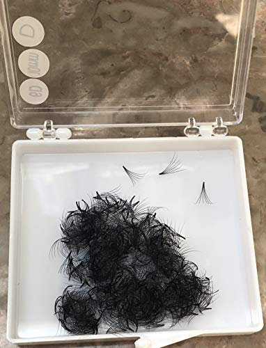 LASH BY HOLLY 6D PREMADE (HAND MADE) FAN LASHES (500 FANS/TRAY) FOR EYELASH EXTENSION, C CURL, D CURL AND M CURL, 0.07 THICKNESS, LENGTH FROM 9MM-15MM (D13mm6D)