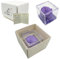 Tesori Nascosti Rosa stabilizzata profumata in Cubo Trasparente - Made in Italy - Confezione Regalo Elegante - Durata 5-7 anni - 12x12 cm (Lilla)