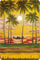 Hawaiianische Vintage-Postkarten, 30 Stück – Fly Hawaiian Air