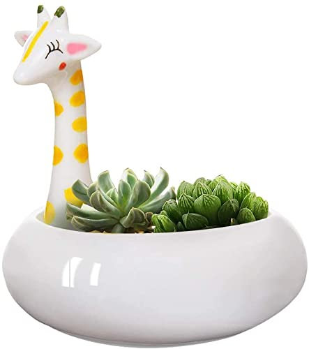 STmea Giraffentopf für Sukkulenten, Pflanzgefäß, Tischdekoration, weiße Keramik, Katze, Ornament, Tier, Blumentopf, Dekoration, Vase (Giraffen-Blumentopf)