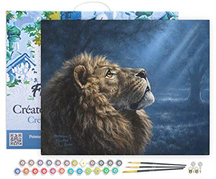 Figured'Art Peinture par Numéro Adulte avec Cadre Lion dans la pénombre - Activité Manuelle Kit de Loisir Créatif DIY Numéro d'Art Complet - 40x50cm toile tendue sur châssis