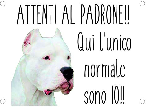 NEW CARTELLO SEGNALETICO - DOGO ARGENTINO Attenti al padrone qui l'unico normale sono io - Adesivo Extra Resistente, Pannello in Forex, Pannello In Alluminio (ADESIVO 20X31 CM)