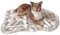 Wahre Tierliebe Hundebett Relax - Das Original mit echter Matratze - waschbar, Hundekissen, Hundekorb, Flauschiges Hundebett für große, mittelgroße & kleine Hunde, 4cm Höhe, Dunkelbraun