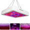 LED Coltivazione Indoor 300W Lampada LED Grow Luci per Idroponica Pianta Fruttificazione e Fioritura nella Serra Grow Box
