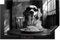 KitchenYeah© Herdabdeckplatte 80x52 cm Einteilig Induktionsmatte Küche Abdeckung Ceranfeld Herd Abdeckplatte Deko Vinyl Matte Aufrollbar Golden Retriever - Hund - Spaghetti - Schwarz - Weiß
