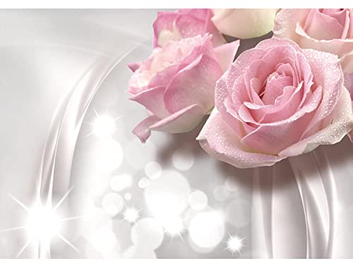 Runa Art Fototapete Blumen 3D Rose 352 x 250 cm Vlies Tapeten XXL Moderne Wandtapete Wohnzimmer Schlafzimmer Grau 9129011a