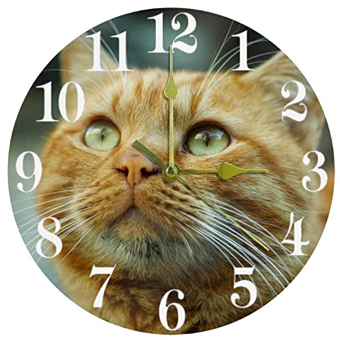 Timmershabi Wanduhr mit Katzen-Motiv, 25,4 cm, leise, nicht tickend, Quarz, batteriebetrieben, runde Wanduhren für Zuhause, Küche, Büro, Schule
