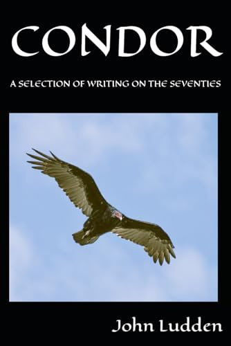 CONDOR: A SELECTION OF WRITING ON THE SEVENTIES