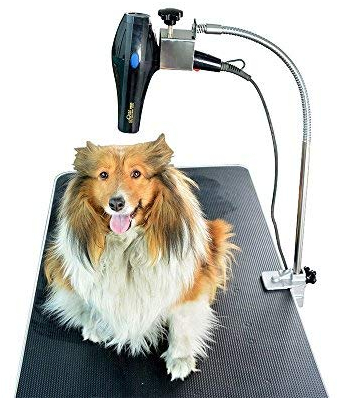 Gravitis Pet Supplies - Soporte profesional para secador de pelo, solo soporte, apto para su uso con mesa profesional de aseo de perros Gravitis