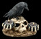 Figuren Shop GmbH Gothic Teelichthalter - Rabe auf Totenschädel | Skull, Schädel, Fantasy Deko-Artikel, Deko-Figur, Skulptur, Statue, H 16 cm