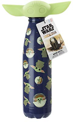 Funko - Bottiglia in metallo, in acciaio inox, multicolore, 500 ml