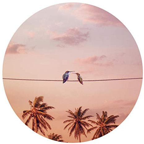 Runde Tapete selbstklebend Jonas Loose Sonnenuntergang mit Kolibris 50x50cm