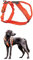 Non-stop dogwear Line Harness 5.0, Gepolstertes Hundegeschirr für kleine, mittlere und große Hunde, gemacht fürs Wandern, Sport und den aktiven Alltag, Größe 3