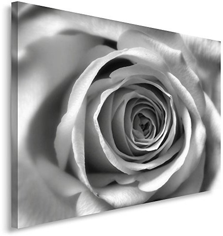 Feeby. Wandbild - 1 Teilig - 80x120 cm, Leinwand Bild Leinwandbilder Bilder Wandbilder Kunstdruck, ROSE, NATUR, SCHWARZ-WEIß