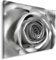 Feeby. Wandbild - 1 Teilig - 80x120 cm, Leinwand Bild Leinwandbilder Bilder Wandbilder Kunstdruck, ROSE, NATUR, SCHWARZ-WEIß