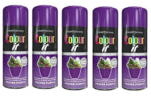 HOMION Colour it prime spray paint 400ml sunshine gloss or matt finish quick drying metal wood aerosol (5, PROPER PURPLE GLOSS)