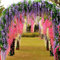 Rotyroya 50 Stück/Beutel Glyzinien-Samen, mehrjährige, gut blühende Kletterpflanzen, lila Glyzinien-Blumensamen für den Park Wisteria Sinensis-Samen