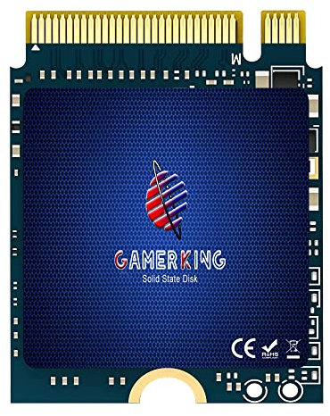GAMERKING Disque SSD Interne M.2 2230 NVMe PCIe Gen 3.0X4 512 Go Compatible Avec Steam Deck/Microsoft Surface Pro 8/7+/X/Laptop3/4