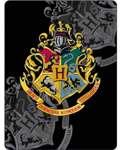 Arlis Harry Potter Fleecedecke, 100 x 140 cm (Harry Potter Decke, schwarz, 053728)