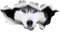 Autoaufkleber Husky Aufkleber 15cm(5.9 Inch) Husky Car Sticker 3D Zerrissen Autoaufkleber Personalisiert Haustier Hund Reflektierende Aufkleber Schlittenhund Lustig Wasserdichte Sticker Dekor