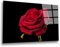 INDIGOS UG Luxus Glasbild - rote Rose - 80x50 cm - ESG Echtglas bedruckt - Glasdruck - Wohnzimmer, Küche, Schlafzimmer, Badezimmer - Geschenk - Deko, Wandbild