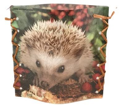 Stimmungslicht Igel im Laub