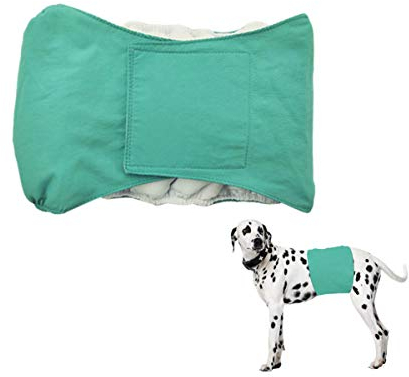Smniao Hygieneunterhose für Hündinnen Rüden Hundewindeln Inkontinenz Haustier Weibliche groß Hund Katze Windel Schutzhose Unterwäsche (S, Grün)