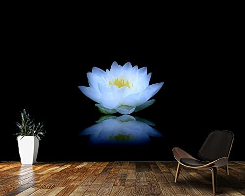 Cwfwan Papier peint 3D personnalisé papier peint Lotus floraison fond noir fleur papier peint salon décor à la maison 250 cm * 175 cm