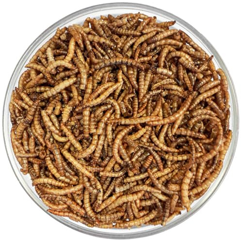Agrarzone vers de Farine séchés 10 kg - 65 litres Snack Premium à Base d'insectes pour Oiseaux, Poissons, rongeurs, hérissons et Reptiles - Nourriture Riche en protéines pour Oiseaux