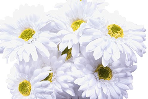 CraftMore Gerbera Gänseblümchen, 35,6 cm, Weiß, 12 Stück