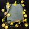 Riaxuebiy Simulation Zitrone Lichterkette Frucht Zitrone Scheibe Grün Blätter Girlande Limette Fee Nachtlichter Kranz Hängelampe Batterie Angetrieben(3m/20LED, Limette)