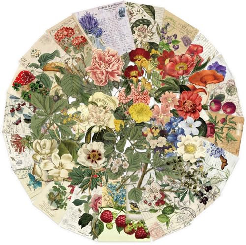 APAREAL Vintage Blumen Aufkleber 50 Stück, Aesthetic Pflanze Sticker Set für Scrapbooking Journal Laptop Kindle Motorrad MacBook Fahrrad Skateboard Koffer, Wasserfeste Transparente PET Sticker
