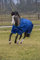 Bucas Pony Smartex Rain 100 Blue