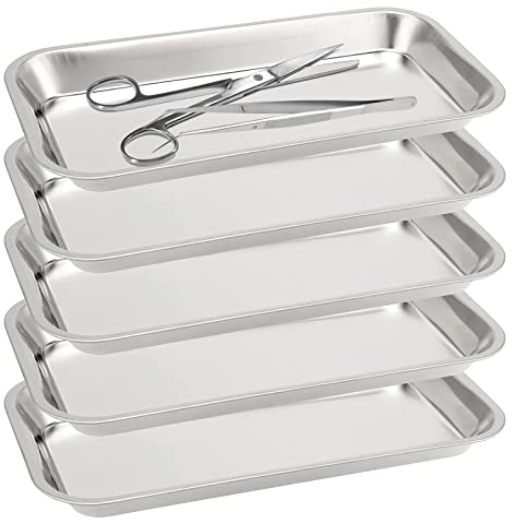 ZEONHEI Lot de 5 Plateaux Acier Inoxydable, Plateau De Laboratoire, Plateau à Instruments Rectangulaire en Acier Inoxydable pour Laboratoire, Plateaux de Service, 22,5 x 11,7 x 2 cm