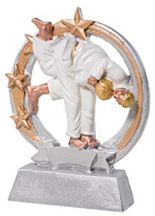 eberin · Judo Kampfsport-Pokal, Resinfigur Judo, Silber und Rosegold, mit Wunschtext, Größe 12,5 cm