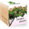 Feel Green - WE CREATE NATURE 297920 Feel Green Ecocube Seidenakazie, Nachhaltige Geschenkidee (100% Eco Friendly), Grow Your Own/Anzuchtset, Pflanzen Im Holzwürfel, Made in Austria