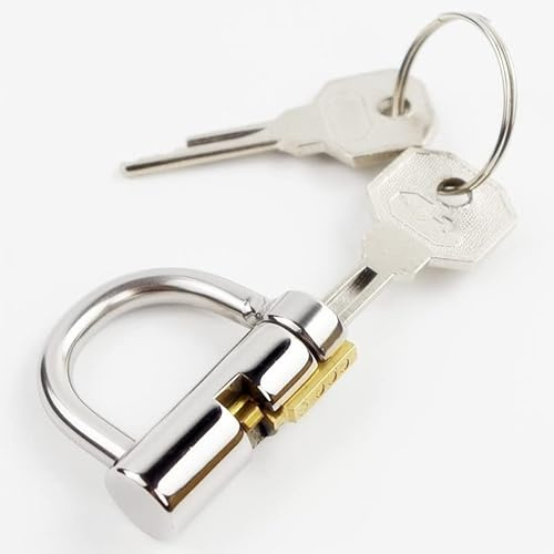 5mm Hahn Käfig Hahn Ring Schloss Keuschheit Piercing Titan D-Ring Pa Schloss selbst Piercing Pa -Punktion, Penisringe