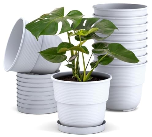 Plastard Blumentöpfe 10er Set 20 cm Durchmesser mit Untersetzer aus Kunststoff Weiß runder Pflanzkübel witterungsbeständiger Übertopf große Blumentöpfe