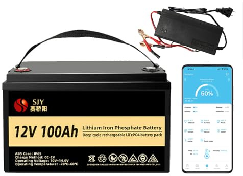SaiJiaoYang LiFePO4 12V 100Ah avec 10A Chargeur et Bluetooth, Batterie au Lithium BMS de 100A Intégré Batterie Lithium Grade A à Cycle Profond pour Les Camping, Caravanes, Bateaux, Systèmes Solaires