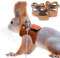 HAICHEN TEC Eichhörnchen-Geschirr- und Leinen-Set – verstellbares Traktionsseilband, Anti-Biss-Kette, für kleine Tiere, Trainingsweste, Leine für Eichhörnchen, Rennmäuse, 3 Stück (S/M/L), braun)