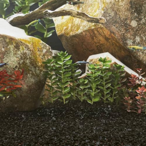 Générique Sable pour Aquarium 25 kg Noir 0,2-2 mm,Articles pour Animaux,Articles pour Animaux de Compagnie,Accessoires pour Poissons,Gravier et substrats pour Aquariums,Noir,26.15 KG,155294